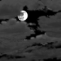 Thursday Night: Mostly cloudy, with a low around 57. East wind 2 to 6 mph. Thursday Night: Mostly Cloudy
